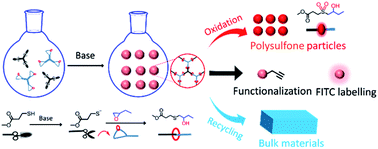 Graphical abstract: Recyclable cross-linked hydroxythioether particles with tunable structures via robust and efficient thiol-epoxy dispersion polymerizations