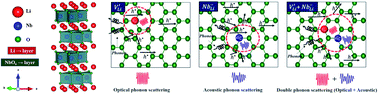 Graphical abstract: Localized double phonon scattering and DOS induced thermoelectric enhancement of degenerate nonstoichiometric Li1−xNbO2 compounds