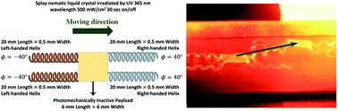 Graphical abstract: Steering with light: indexable photomotility in liquid crystalline polymers