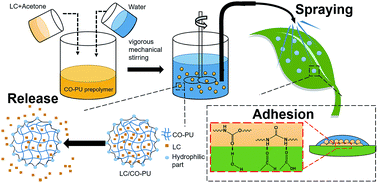 Graphical abstract: Preparation and properties of lambda-cyhalothrin/polyurethane drug-loaded nanoemulsions