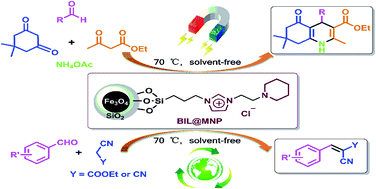 Graphical abstract: Covalently anchored tertiary amine functionalized ionic liquid on silica coated nano-Fe3O4 as a novel, efficient and magnetically recoverable catalyst for the unsymmetrical Hantzsch reaction and Knoevenagel condensation