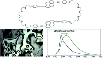 Graphical abstract: Mechanoresponsive luminescence and liquid-crystalline behaviour of a cyclophane featuring two 1,6-bis(phenylethynyl)pyrene groups