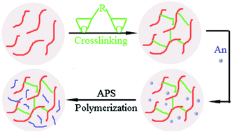 Graphical abstract: Preparation of conductive composite hydrogels from carboxymethyl cellulose and polyaniline with a nontoxic crosslinking agent