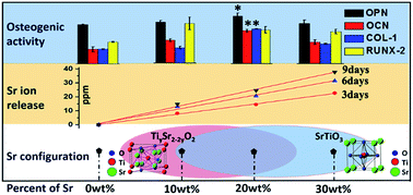Graphical abstract: Enhanced osteogenic activity of Ti alloy implants by modulating strontium configuration in their surface oxide layers