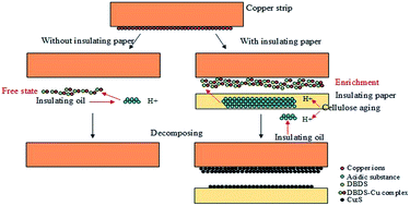 Graphical abstract: Corrosion mechanism for local enrichment of acids and copper ions in copper-insulating paper contacts leading to the acceleration of copper sulfide formation induced by dibenzyl disulfide
