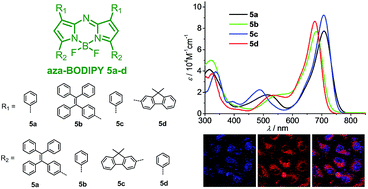 Graphical abstract: Tetraphenylethylene- and fluorene-functionalized near-infrared aza-BODIPY dyes for living cell imaging