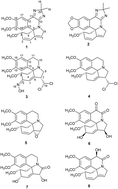 Graphical abstract: Alkaloids from the flower of Erythrina arborescens