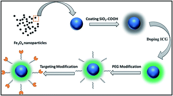 Graphical abstract: The diagnosis of hepatic fibrosis by magnetic resonance and near-infrared imaging using dual-modality nanoparticles