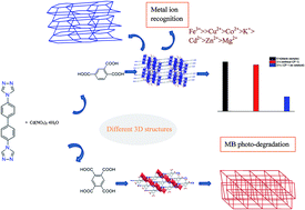 Graphical abstract: Two new luminescence cadmium coordination polymers constructed by 4,4′-di(4H-1,2,4-triazol-4-yl)-1,1′-biphenyl and polycarboxylic acids: syntheses, structures, Fe3+ identifying and photo-degradable properties