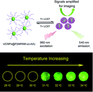 Graphical abstract: Thermo-activatable PNIPAM-functionalized lanthanide-doped upconversion luminescence nanocomposites used for in vitro imaging