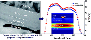 Graphical abstract: A silver nanowire mesh overcoated protection layer with graphene oxide as a transparent electrode for flexible organic solar cells