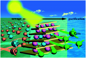 Graphical abstract: A novel strategy to promote photo-oxidative and reductive abilities via the construction of a bipolar Bi2WO6/N-SrTiO3 material