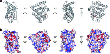 Graphical abstract: Probing the origin of estrogen receptor alpha inhibition via large-scale QSAR study