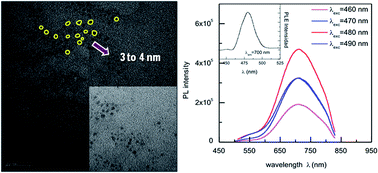 Graphical abstract: Sodium-alginate biopolymer as a template for the synthesis of nontoxic red emitting Mn2+-doped CdS nanoparticles