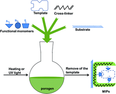 Graphical abstract: Recent advances in green reagents for molecularly imprinted polymers