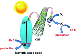 Graphical abstract: Construction of C60-decorated SWCNTs (C60-CNTs)/bismuth-based oxide ternary heterostructures with enhanced photocatalytic activity