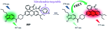 Graphical abstract: A mitochondria-targeting ratiometric fluorescent probe for the detection of hypochlorite based on the FRET strategy