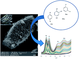 Graphical abstract: Poly(quercetin)-bismuth nanowires as a new modifier for simultaneous voltammetric determination of dihydroxybenzene isomers and nitrite