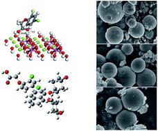 Graphical abstract: Experimental and theoretical calculation investigation of 2,4-dichlorophenoxyacetic acid adsorption onto core–shell carbon microspheres@layered double hydroxide composites