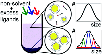 Graphical abstract: A rapid, high yield size-selective precipitation method for generating Au nanoparticles in organic solvents with tunably monodisperse size distributions and replaceable ligands