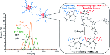 Graphical abstract: Poly(HPMA)-based copolymers with biodegradable side chains able to self assemble into nanoparticles