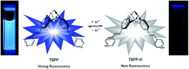 Graphical abstract: An acidic pH fluorescent probe based on Tröger's base