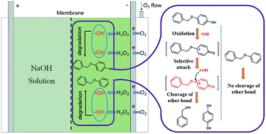 Graphical abstract: Study on the cleavage of alkyl-O-aryl bonds by in situ generated hydroxyl radicals on an ORR cathode