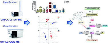 Graphical abstract: Sphingolipidomic study of davidiin-treated HepG2 human hepatocellular carcinoma cells using UHPLC-MS