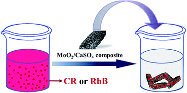 Graphical abstract: Facile synthesis of MoO2/CaSO4 composites as highly efficient adsorbents for congo red and rhodamine B
