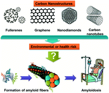 Graphical abstract: Carbon nanospecies affecting amyloid formation