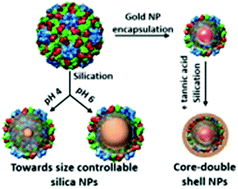 Graphical abstract: Construction of core-shell hybrid nanoparticles templated by virus-like particles