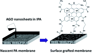 Graphical abstract: A facile and viable approach to fabricate polyamide membranes functionalized with graphene oxide nanosheets