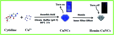 Graphical abstract: Cytidine-stabilized copper nanoclusters as a fluorescent probe for sensing of copper ions and hemin