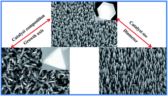 Graphical abstract: Crystallographic orientation control and optical properties of GaN nanowires