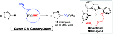 Graphical abstract: Bifunctional N-heterocyclic carbene ligands for Cu-catalyzed direct C–H carboxylation with CO2