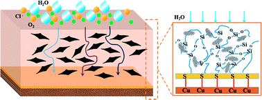 Graphical abstract: Performance evaluation of mercapto functional hybrid silica sol–gel coating and its synergistic effect with f-GNs for corrosion protection of copper surface