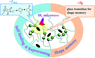 Graphical abstract: Multiple-responsive shape memory polyacrylonitrile/graphene nanocomposites with rapid self-healing and recycling properties