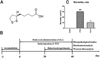 Graphical abstract: α-Lipoic acid alleviates pentetrazol-induced neurological deficits and behavioral dysfunction in rats with seizures via an Nrf2 pathway