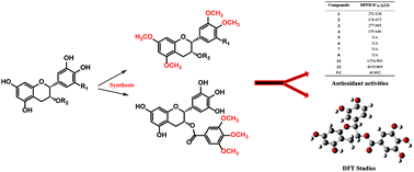 Graphical abstract: Synthesis, antioxidant activity, and density functional theory study of catechin derivatives