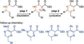 Graphical abstract: Synthesis of substituted pyrazines from N-allyl malonamides