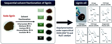 Graphical abstract: Sequential solvent fractionation of lignin for selective production of monoaromatics by Ru catalyzed ethanolysis