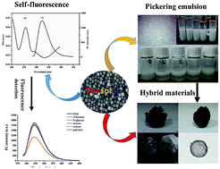 Graphical abstract: Synthesis of artificial chaperones in a novel type of Pickering emulsion for glycoprotein
