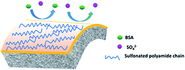 Graphical abstract: Antifouling sulfonated polyamide nanofiltration hollow fiber membrane prepared with mixed diamine monomers of BDSA and PIP