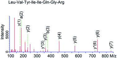 Graphical abstract: Purification and identification of antioxidative peptides of palm kernel expeller glutelin-1 hydrolysates