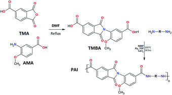 Graphical abstract: Synthesis and characterization of poly(amide-imide)s derived from a new ortho-functional unsymmetrical dicarboxylic acid