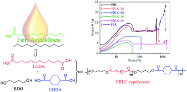 Graphical abstract: Synthesis of copolyesters with bio-based lauric diacid: structure and physico-mechanical studies