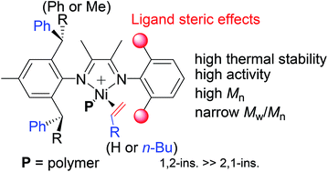 Graphical abstract: Ligand steric effects on α-diimine nickel catalyzed ethylene and 1-hexene polymerization