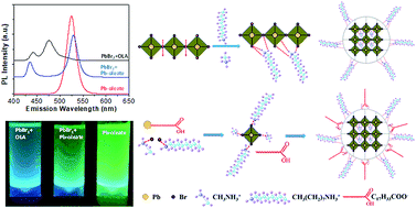 Graphical abstract: Controlled synthesis of brightly fluorescent CH3NH3PbBr3 perovskite nanocrystals employing Pb(C17H33COO)2 as the sole lead source