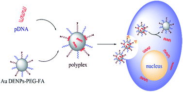 Graphical abstract: PEGylated dendrimer-entrapped gold nanoparticles with low immunogenicity for targeted gene delivery