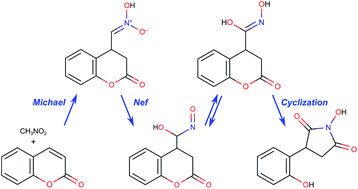 Graphical abstract: Computational elucidation of the reaction mechanism for synthesis of pyrrolidinedione derivatives via Nef-type rearrangement – cyclization reaction